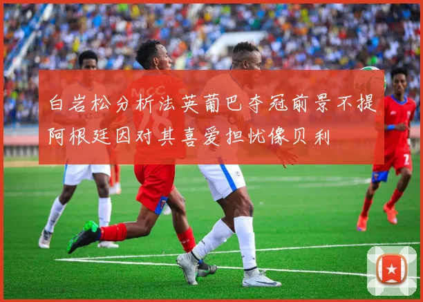 白岩松分析法英葡巴夺冠前景不提阿根廷因对其喜爱担忧像贝利